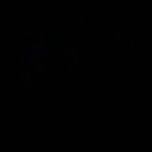 Meet your Posher, Vannah